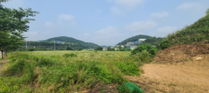 파주시 월롱면 덕은리 임야 경매 물건 사진