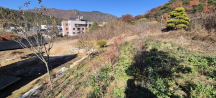 고양시 덕양구 효자동 전답 경매 물건 사진