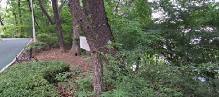 고양시 덕양구 고양동 임야 경매 물건 사진