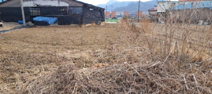 파주시 파평면 금파리 단독주택 경매 물건 사진