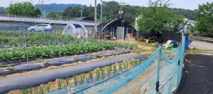 고양시 덕양구 대자동 전답 경매 물건 사진