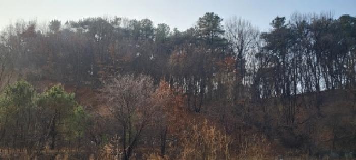 고양시 일산동구 문봉동 도로 경매 물건 사진