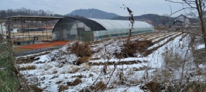 파주시 파주읍 봉암리 전답 경매 물건 사진