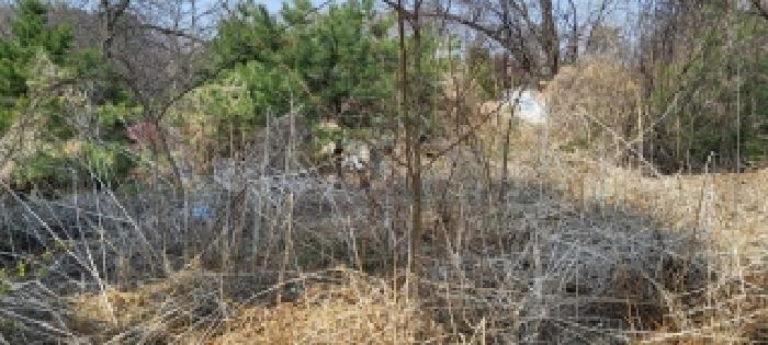 고양시 덕양구 고양동 임야 경매 물건 사진