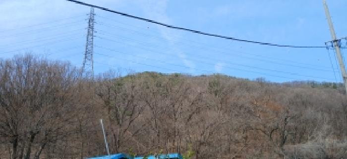 고양시 덕양구 지축동 임야 경매 물건 사진