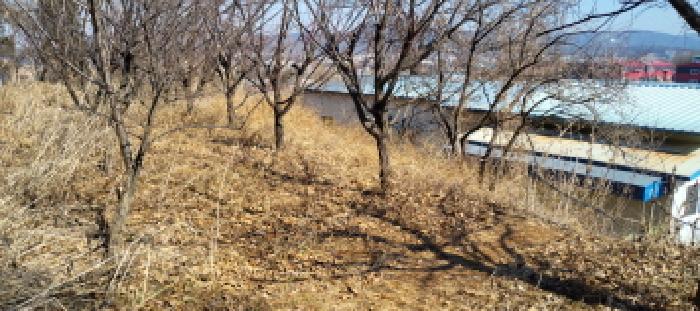 고양시 일산동구 지영동 임야 경매 물건 사진