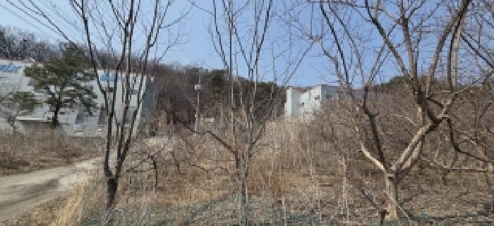 파주시 검산동 458-1 공장/지식산업센터 경매 물건 사진