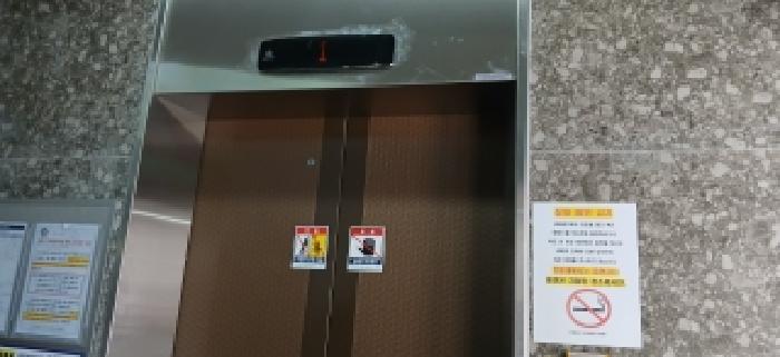 고양시 일산동구 풍동 다세대 경매 물건 사진