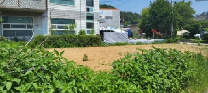 고양시 덕양구 대자동 대지,임야,전답 경매 물건 사진