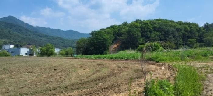 파주시 광탄면 영장리 전답 경매 물건 사진
