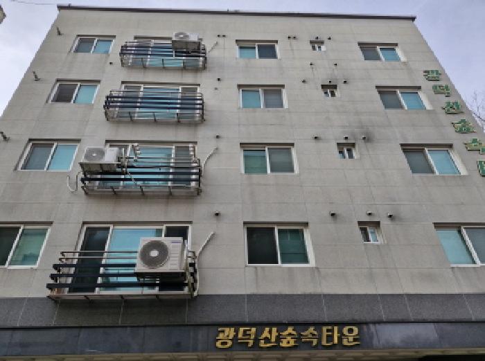 안산시 상록구 월피동 다세대 경매 물건 사진