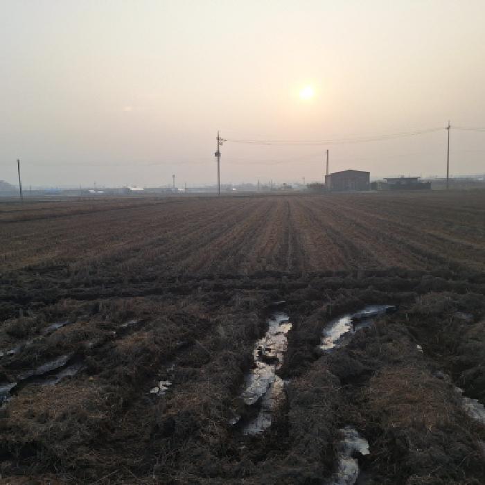 안산시 상록구 본오동 전답 경매 물건 사진