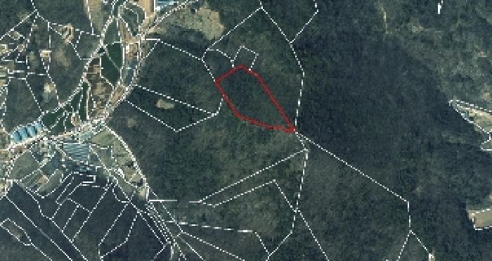 시흥시 군자동 산88 임야 경매 물건 사진