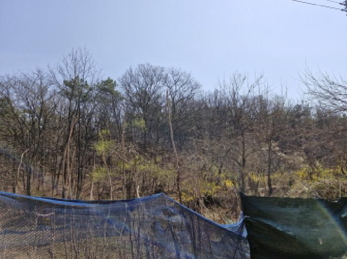 안산시 상록구 사사동 임야 경매 물건 사진