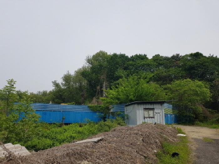 시흥시 조남동 306-384 임야 경매 물건 사진