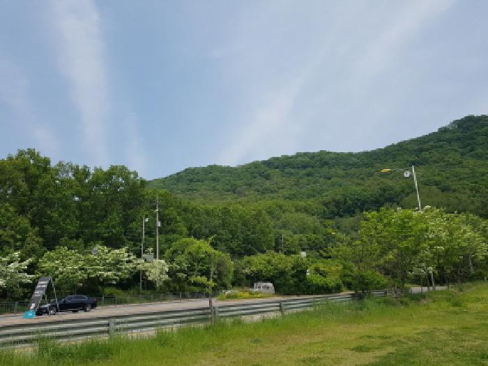 광명시 일직동 산38 임야 경매 물건 사진