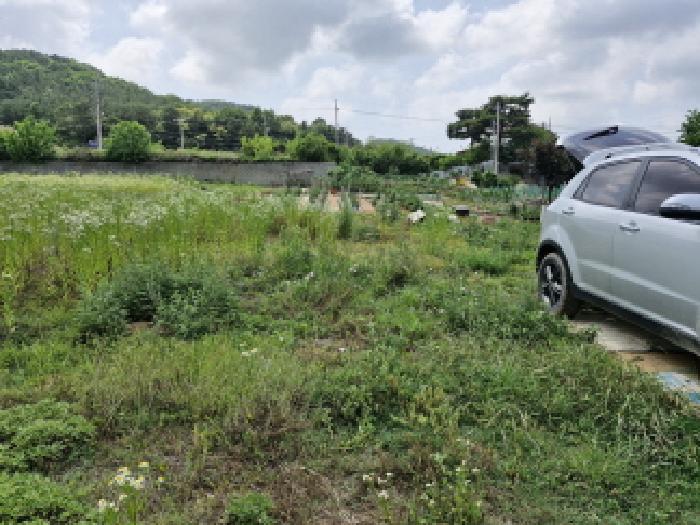 안산시 단원구 대부동동 전 경매 물건 사진