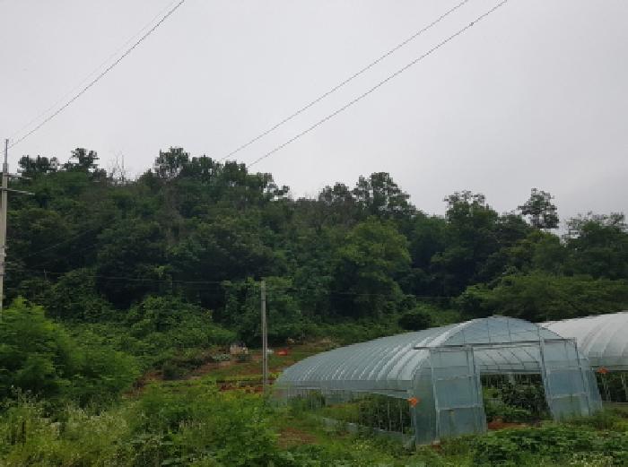 광명시 노온사동 산70 임야 경매 물건 사진
