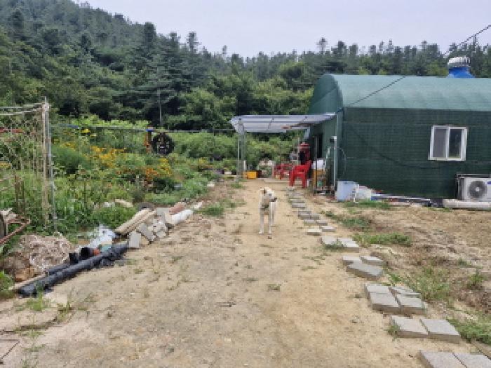 안산시 단원구 대부동동 대지 경매 물건 사진