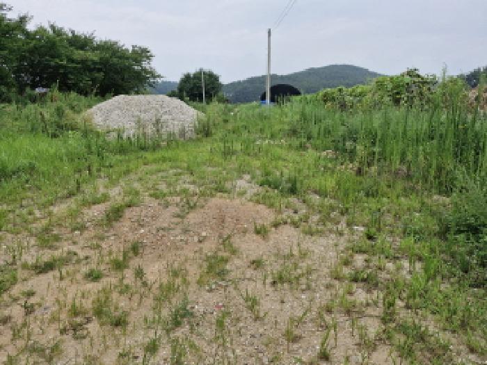 안산시 단원구 대부남동 전답 경매 물건 사진