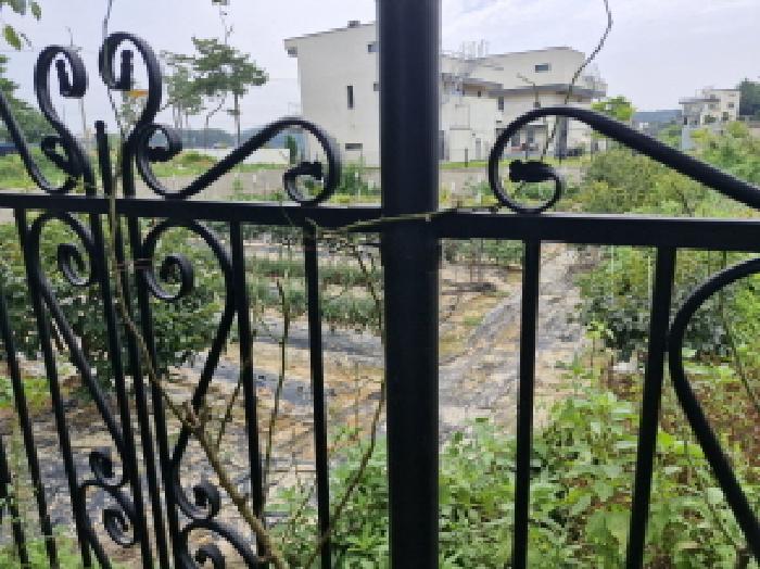 안산시 단원구 대부남동 전답 경매 물건 사진