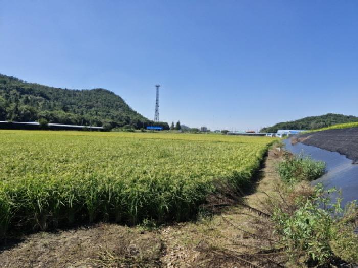 안산시 단원구 대부남동 답 경매 물건 사진