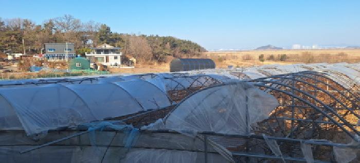 안산시 단원구 대부동동 전답 경매 물건 사진